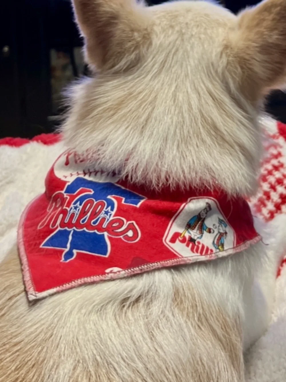 Phillies Reversible Pet Collar Scarf Bandana Slide On Retro Logo Dog Small S